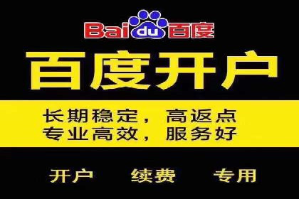 探索百度包年竞价的最佳实践与案例